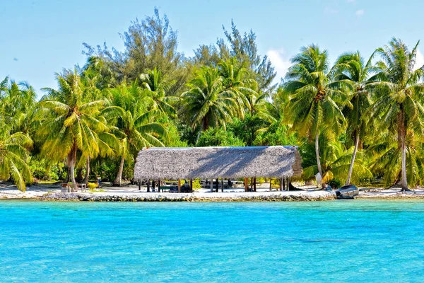 Refugio Cobertizo Motu Isla Bora Bora Polinesia — Foto de stock gratis