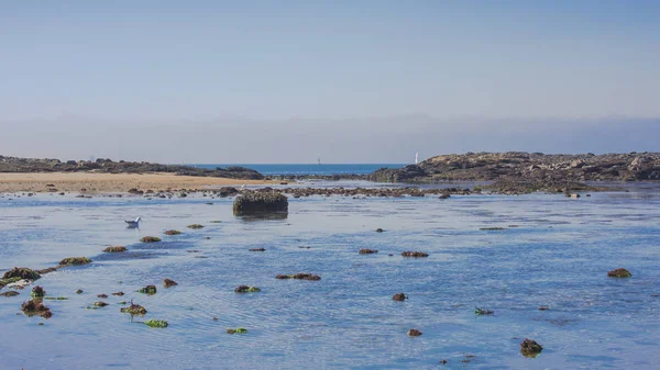 Lorient Larmor Plage Spiaggia Bassa Marea Panorama — Foto Stock