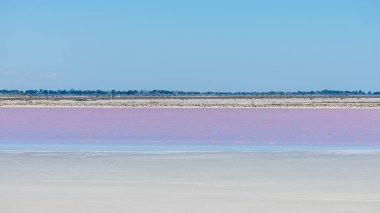     Aigues-Mortes, Salins du Midi, tuzlu bataklıklı panorama 