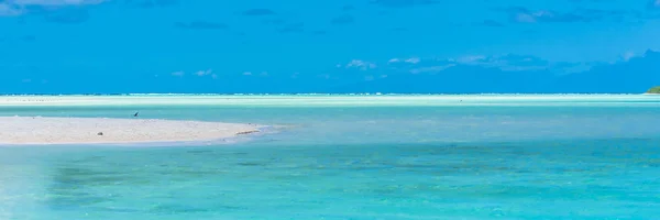 Пустынный Остров Моту Французской Полинезии Панорама Бирюзового Моря — стоковое фото