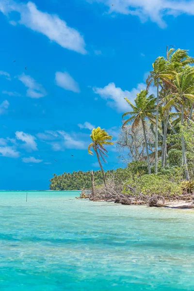 Praia Tropical Lagoa Azul Polinésia Francesa Ilha Tetiaroa — Fotografia de Stock
