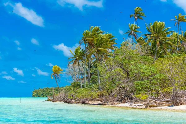 Praia Tropical Lagoa Azul Polinésia Francesa Ilha Tetiaroa — Fotografia de Stock