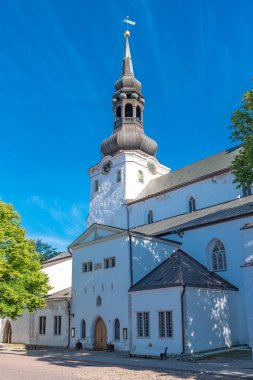 Tallinn Estonya, Toompea mahallede St Marys katedral, eski şehir 