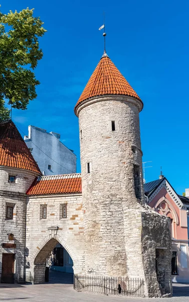 Tallinn Észtország Középkori Város Tipikus Tower Város Kapuja — Stock Fotó