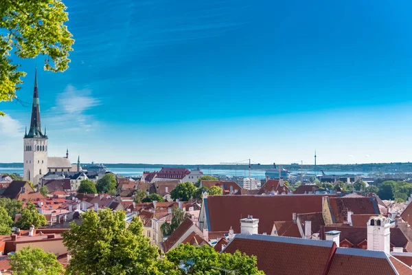 Tallinn Estonia Panorama Medieval City Saint Nicolas Church Colorful Houses — Stock Photo, Image