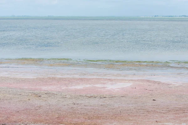 Aigues Mortes Pink Lake Acute Mati Camargue — Stok Foto
