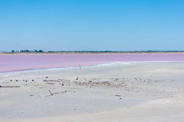 Aigues Mortes Rosa Sjön Akut Död Camargue — Stockfoto