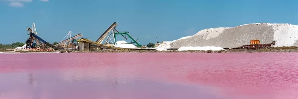 Aigues Mortes Salins Midi Industri Garam Panorama Dengan Rawa Rawa — Stok Foto