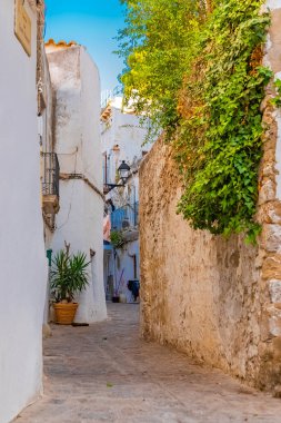 Ibiza, İspanya, tipik yayalara Eivissa City, güzel Akdeniz köyü 