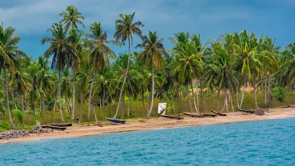 Sao Tome Traditionelle Hölzerne Einbäume Ufer Mit Schönen Palmen Hintergrund — Stockfoto