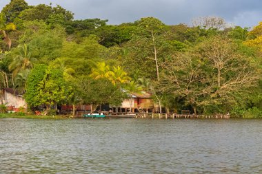 Kosta Rika, nehirde Tortuguero, mangrov yaban hayatı üzerinde tipik ev