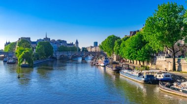 Paris, Pont-Neuf ve Cite manzarası