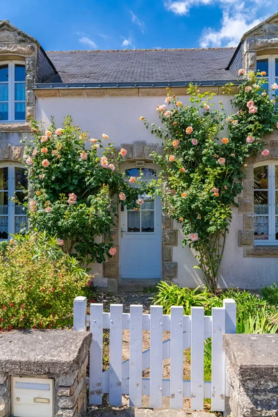 Beautiful small house in Brittany, typical home with rosebush and a wooden gate