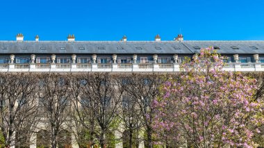 Paris, Palais Kraliyet bahçesi, güzel geometrik cephe 