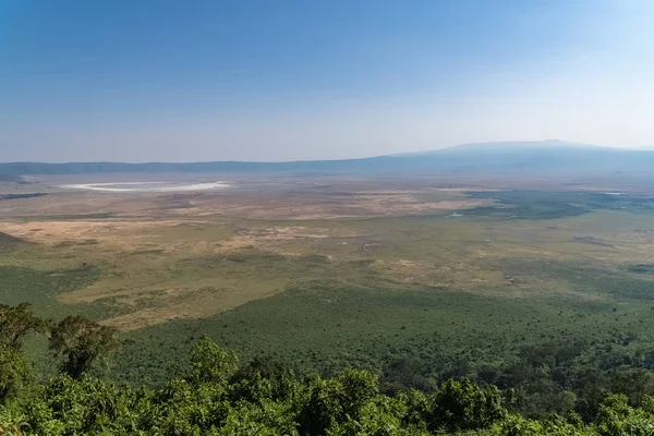 Tanzania Vista Del Cráter Ngorongoro Hermoso Paisaje Con Diferentes Animales —  Fotos de Stock
