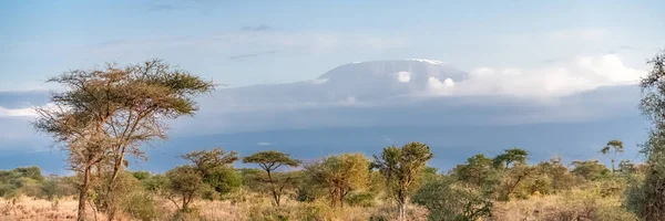 Vista Montanha Kilimandjaro Tanzânia Com Savana Belo Panorama — Fotografia de Stock