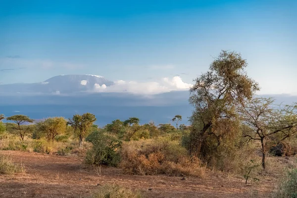 Vista Montaña Del Kilimandjaro Tanzania Con Sabana Hermoso Panorama — Foto de Stock
