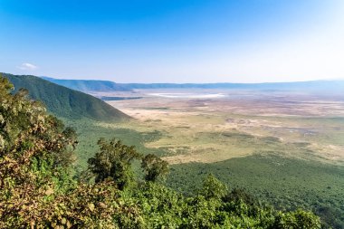 Tanzanya, Ngorongoro krateri görünümü, birlikte yaşayan farklı hayvanlarla güzel manzara