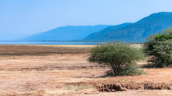 Der Manyara See Tansania Wunderschönes Panorama Mit Dem See Hintergrund — kostenloses Stockfoto