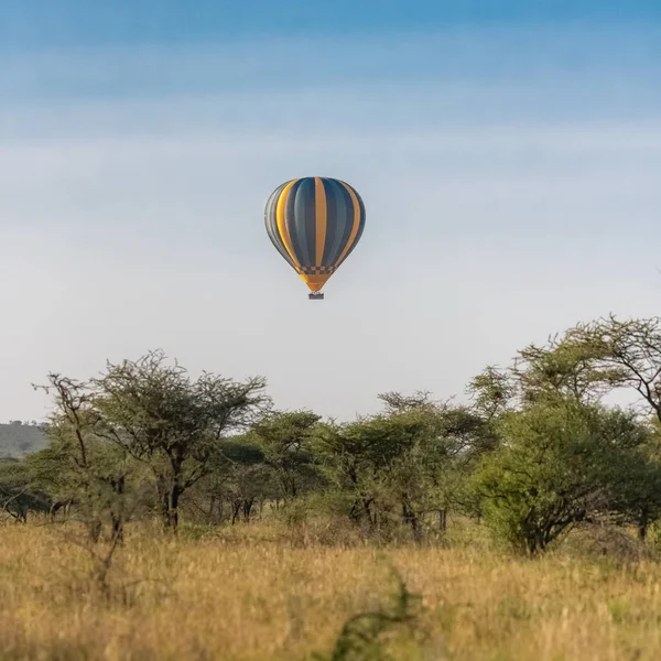 Balon Udara Atas Sabana Cagar Serengeti Tanzania Saat Matahari Terbit — Foto Stok Gratis