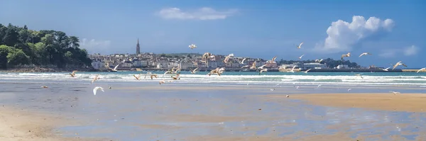 Douarnenez Bretagne Panorama Från Ris Stranden Med Måsar Som Flyger — Stockfoto