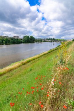 Fransa 'da Amboise Kalesi, güzel Fransız mirası, baharda Loire nehri ile Panorama 