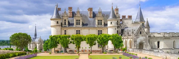 Amboise Slott Frankrike Vackra Franska Arvet Panorama Våren — Stockfoto