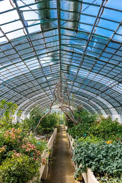 Париж Оранжереи Auteuil Красивый Общественный Сад Весной — стоковое фото