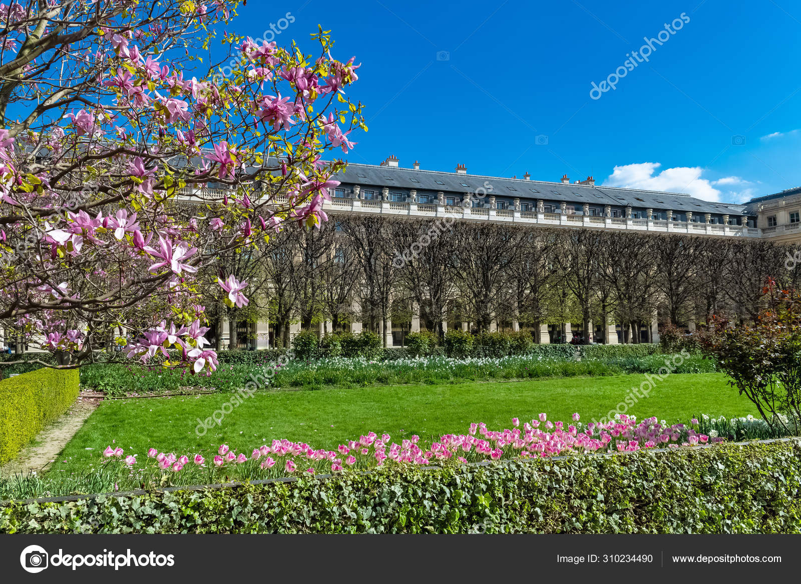 Paris France Palais Royal Beautiful Public Monument Capital Garden