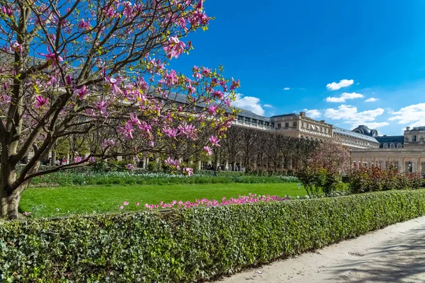 Paris Frankreich Der Königliche Palast Schönes Öffentliches Denkmal Der Hauptstadt — Stockfoto