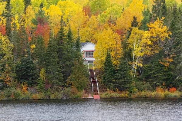 Cabană Pădurea Lacul Din Canada Timpul Verii Indiene Culori Frumoase — Fotografie, imagine de stoc