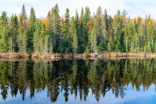 Lago Floresta Canadá Durante Verão Indiano Belas Cores Das Árvores — Fotos gratuitas