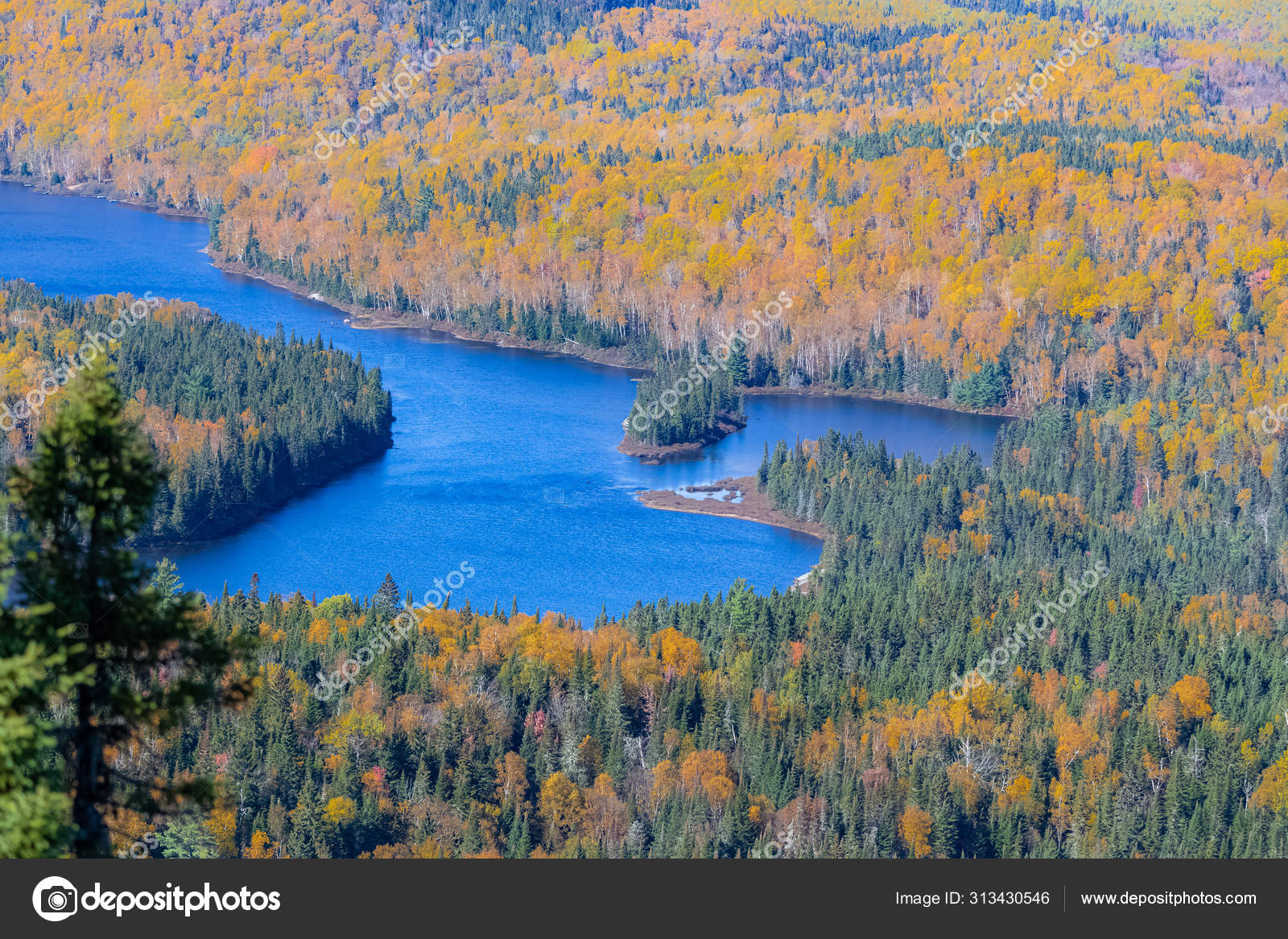 Озеро Лесу Канаде Время Индийского Лета Красивые Цвета Деревьев.