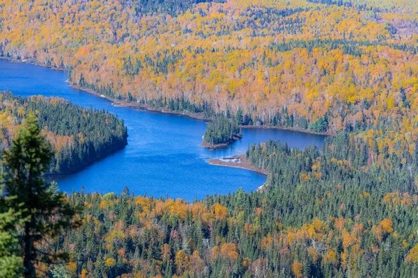 Sjö Skogen Kanada Den Indiska Sommaren Vackra Färger Träden Panorama — Gratis stockfoto