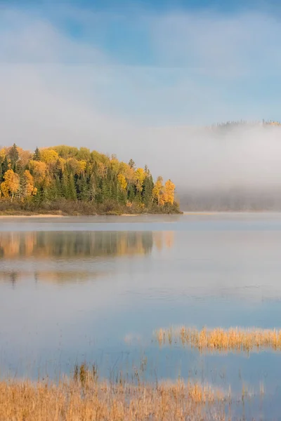 加拿大森林中的一个湖 在印度的夏天 早上有雾在水面上 — 图库照片