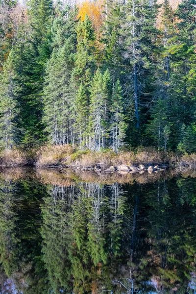 Lago Nella Foresta Canada Durante Estate Indiana Riflesso Degli Alberi — Foto Stock