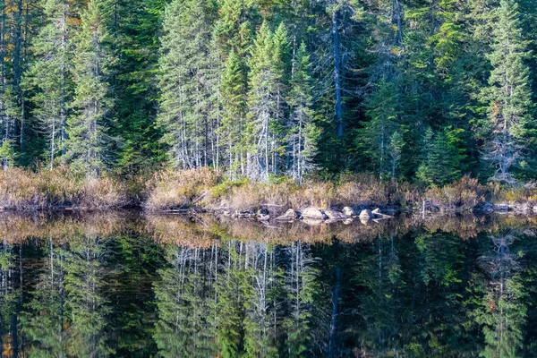 Lac Pădurea Din Canada Timpul Verii Indiene Reflectarea Copacilor Din — Fotografie, imagine de stoc