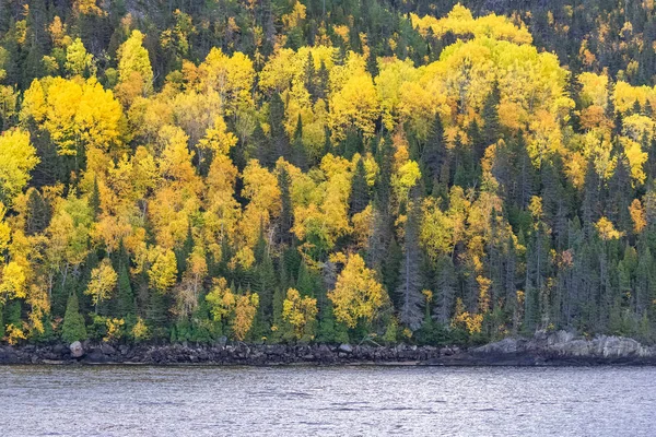 Lac Dans Forêt Canada Pendant Été Indien Belles Couleurs Des — Photo