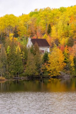 Kanada 'da göldeki ormanda bir ev, sonbaharda, ağaçların güzel renkleri. 