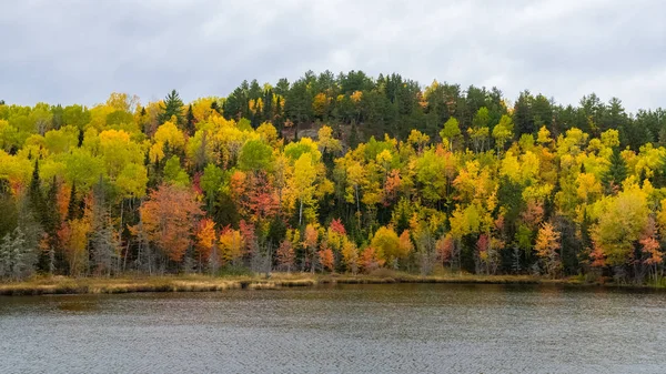 Una Foresta Canada Durante Estate Indiana Bellissimi Colori Degli Alberi — Foto Stock