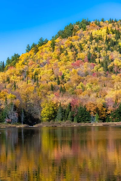 Lake Forest Canada Indian Summer Reflection Trees Water — Stock Photo, Image