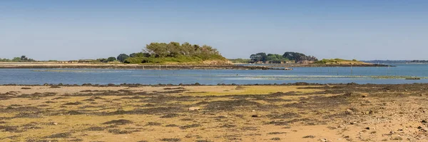 Bretagne Panorama Över Morbihanbukten Från Ile Aux Moines Lågvatten — Stockfoto