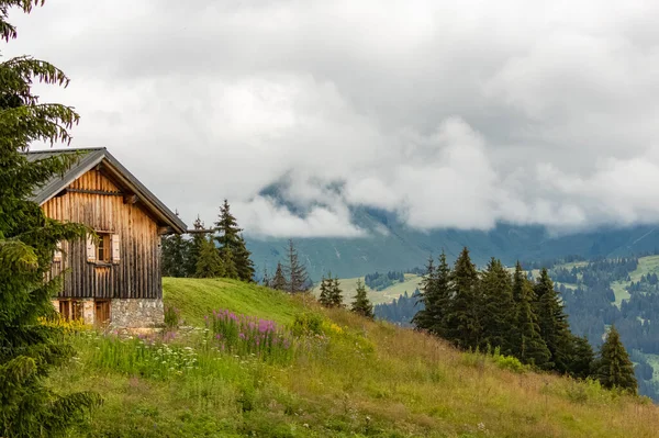 春天在法国莫尔津附近的阿尔卑斯山的一座孤零零的小木屋里 — 图库照片