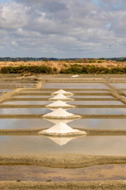 Brittany 'de Guerande, tuzlu bataklıkların manzarası