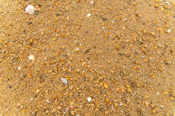 Zand Het Strand Bretagne Met Kleine Schelpen Achtergrond — Stockfoto