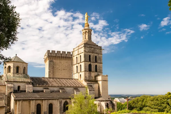 Avignon Palais Des Papes Vackert Monument Södra Frankrike — Stockfoto