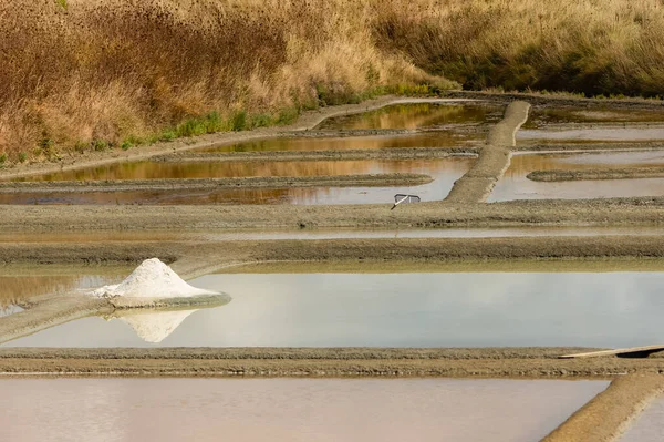 Guerande Bretagne Panorama Över Salta Kärr — Stockfoto