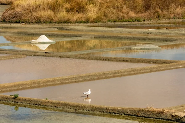 Guerande Bretagna Panorama Delle Saline — Foto Stock