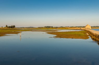 Morbihan Körfezi 'ndeki Arz Adası, gelgit değirmeni, panorama.