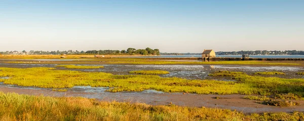 Île Arz Dans Golfe Morbihan Moulin Marée Panorama — Photo